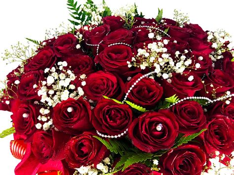 Buque De 50 Rosas Flores Presentes Amor Paixão Flores Lindas