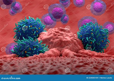 Hematopoietic Stem Cell Cartoon Vector 39448001