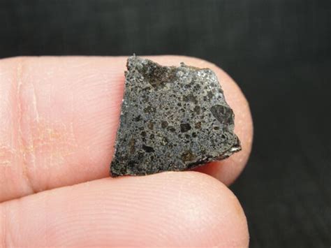 Nwa 11761 Achondrite Mesosiderite Meteorite 11761 0004 131g Coa