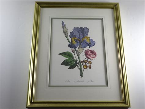 Framed Botanical Prints, Framed Floral Art Prints, Framed Flower Print, Botanical Wall Art ...