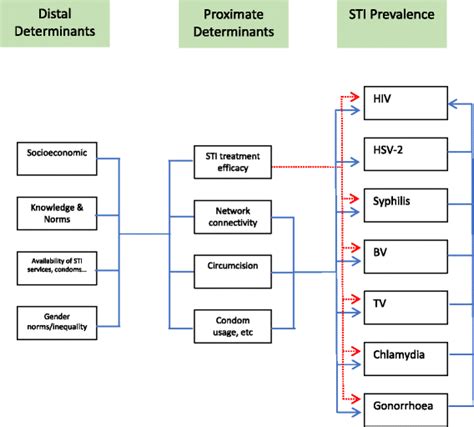 strong associations between national prevalence of various stis suggests sexual network