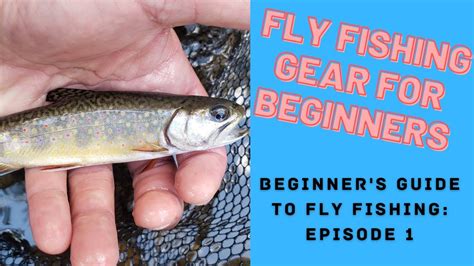 Fly Fishing Gear For Beginners Beginners Guide To Fly Fishing