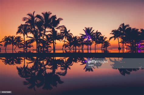 Palm Tree Silhouettes At Sunset Africa High Res Stock Photo Getty Images