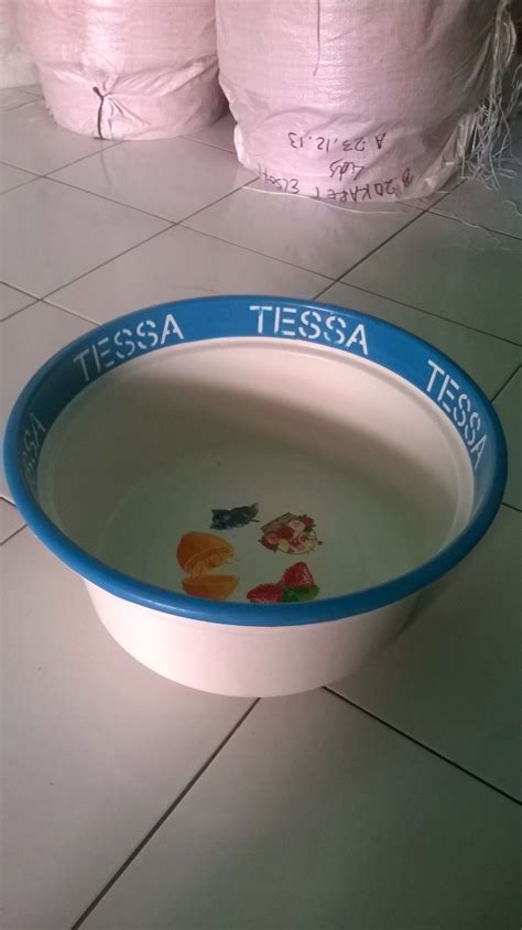 Pembayaran mudah, pengiriman cepat & bisa cicil 0%. DISTRIBUTOR PERABOTAN PLASTIK TERMURAH