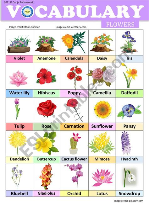 Flowers Vocabulary Esl Worksheet By Dackala