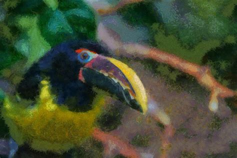 Toucan Digital Art By Ernie Echols Fine Art America