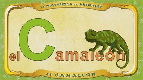 La Multipedia De Animales Letra C El Camaleón Youtube