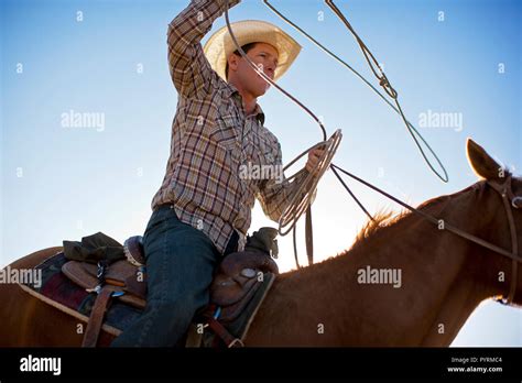 Cowboys Horses Lassos Ranch Hi Res Stock Photography And Images Alamy
