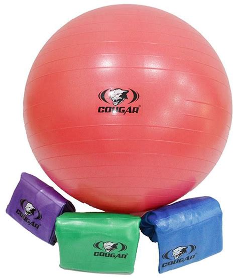 Cougar Gym Ball 75cm Buy Online At Best Price On Snapdeal