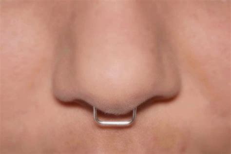 Septum Nose Rings Fake Nose Rings Septum Jewelry Body Jewelry Nose