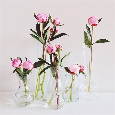 6 Gold Dipped Single Rose Vases Rose Centerpieces Single Rose Bud