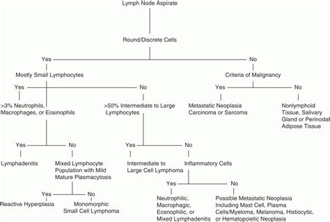 Cytology Of The Lymph Nodes Veterian Key