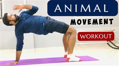 Animal Flow Workout At Home Full Body Beginner Workout Youtube