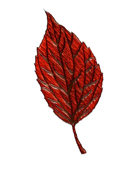 Autumn Leaf Free Template For A 3d Pen