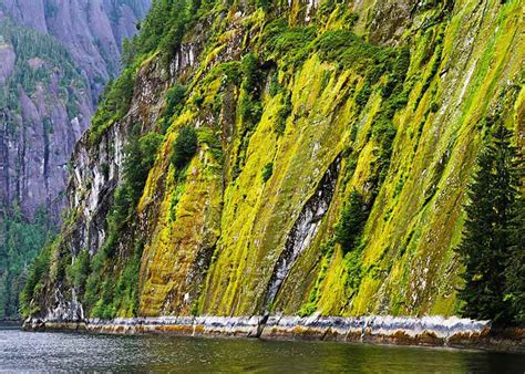 Misty Fjords Cruise And Flightseeing Alaska Shore Tours