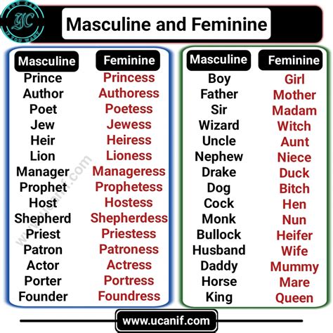 Masculine And Feminine Gender List In English With Rules