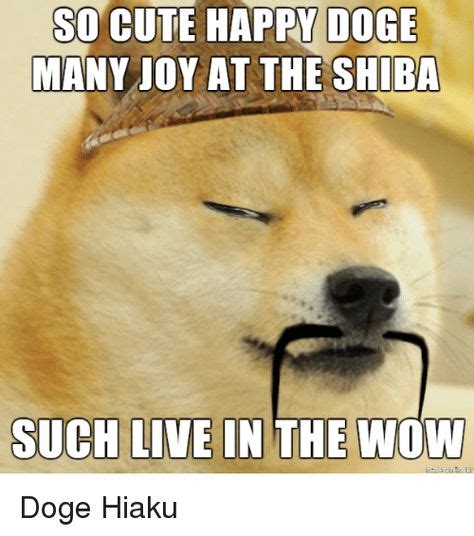 25 Best Memes About Wow Doge Wow Doge Memes Doge Best Memes Memes