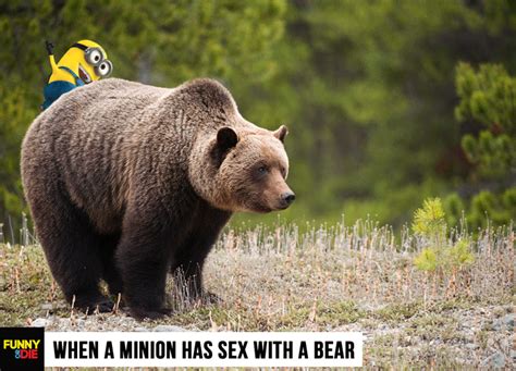 When A Minion Has Sex With A Bear Funny Or Die