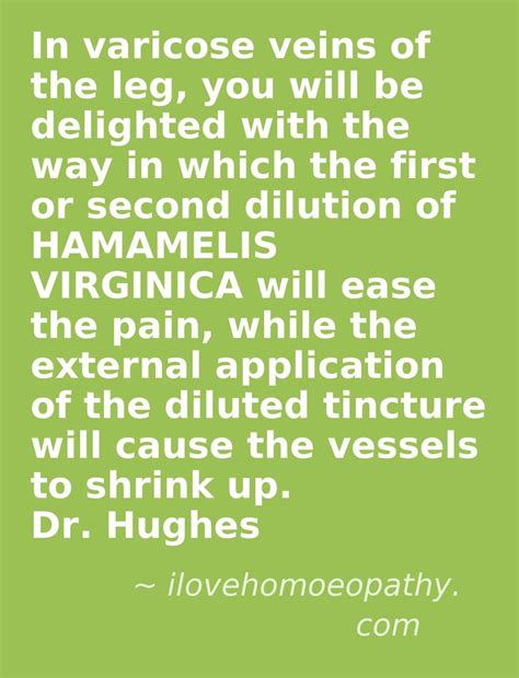 Hamamelis For Varicose Varicose Vein Remedy Homeopathy Remedies