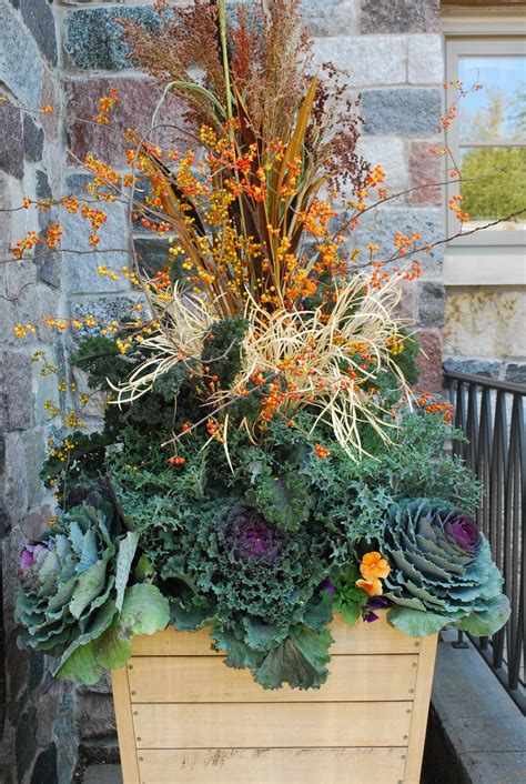 At A Glance Fall Containers Old And New Winter Container Gardening