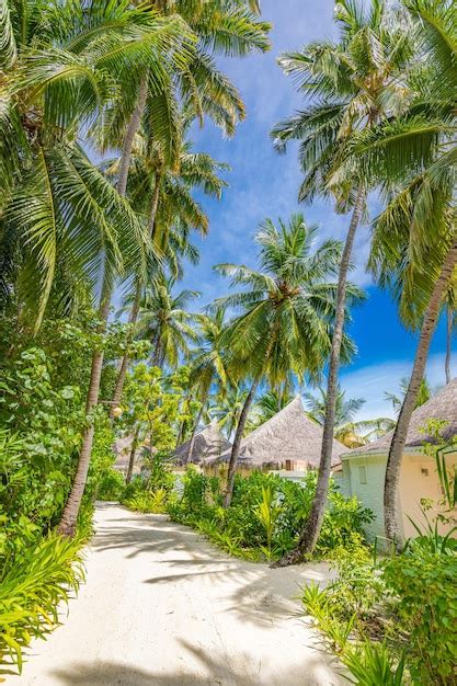 Premium Photo Tropical Paradise Exotic Luxury Vacation In Maldives