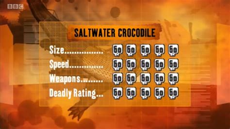 K in 60k means thousand. Saltwater crocodile | Deadly 60 Wiki | Fandom