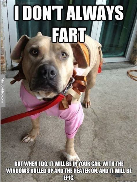 Try Not To Laugh Cats And Dogs Farting