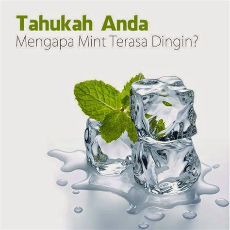 Pencuri movie crew official website | quality our priority tiada arah jodoh kita full episode. Ubat Nyamuk Wangi - Omong w