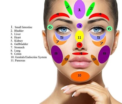 Infograf A Realista De Reflexolog A De Mapeo Facial Con Zonas De Masaje Marcadas En La Cara