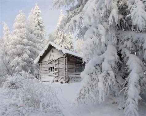 A Cabin In The Very Snowy Woods Here There And