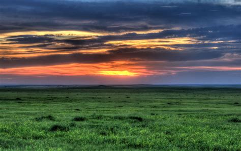 Grassland Sunset Wallpaper
