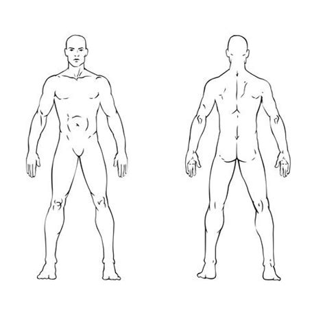 Body Diagram For Professional Massage Chart Front Back Left And Right Views Icon Or Button