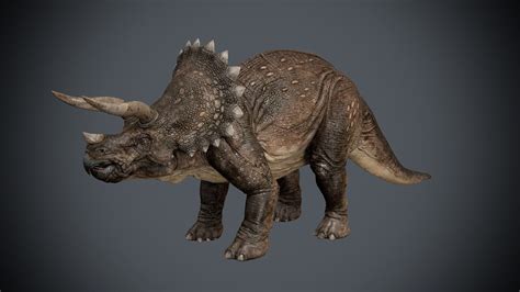 Triceratops 3d Model Animated Rigged Max