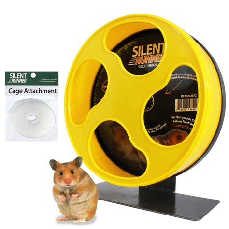 5 Best Silent Hamster Wheels Pawsify