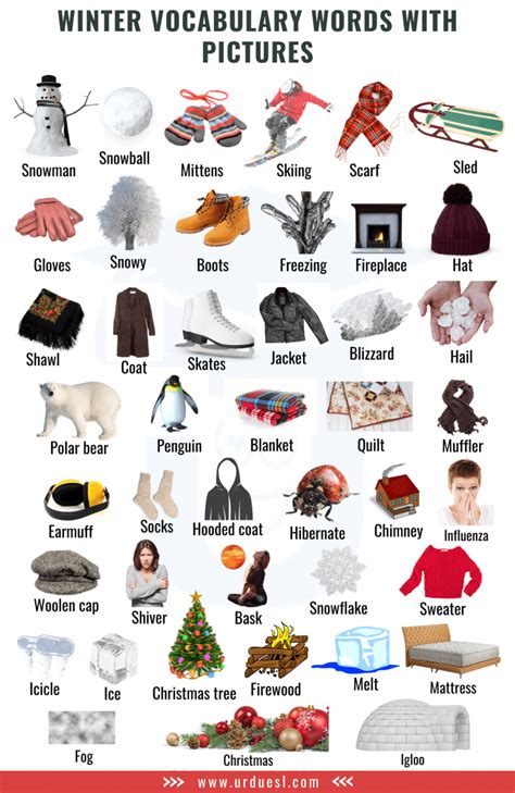 List Of A To Z Winter Vocabulary Words With Pictures