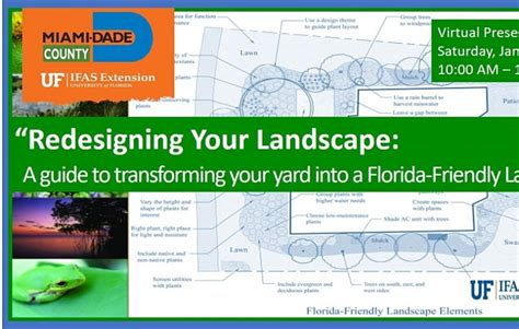 Redesigning Your Landscape A Guide To Transforming Your Yard Into A