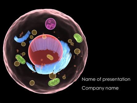 Cell Structure Presentation Template For PowerPoint And Keynote PPT Star