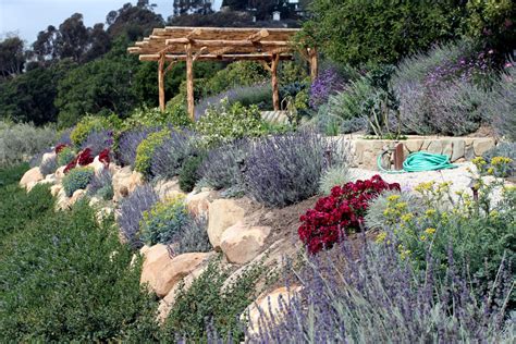 Landscaping Ideas In Southern California Mediterranean Landscape