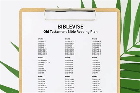 Old Testament Bible Reading Plan With Printable Pdf