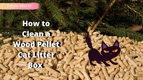 How To Clean A Wood Pellet Cat Litter Box Youtube