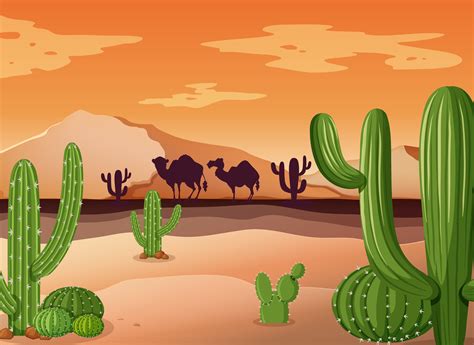 Desert Scene With Cactus And Sunset 301997 Vector Art At Vecteezy