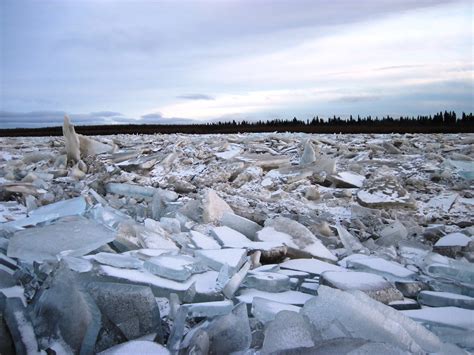 12 8 Bsar River Report A Ground Level Look At The November Ice Jam At
