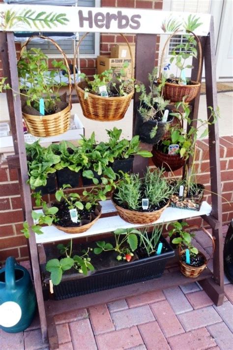 Outstanding 50 Apartment Herb Garden Ideas For Your Apartment