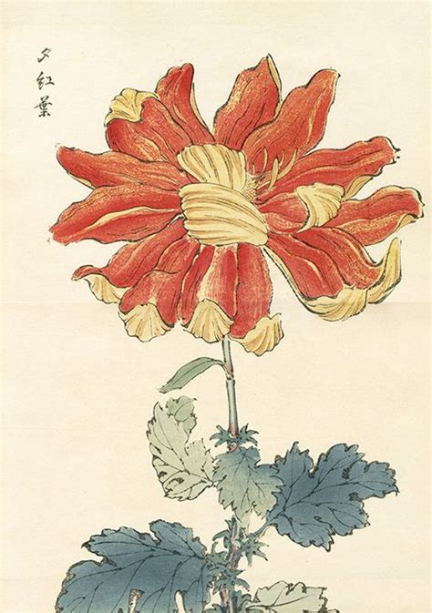 Keika Hasegawa Chrysanthemum Wood Block Prints 1st Edition 1893