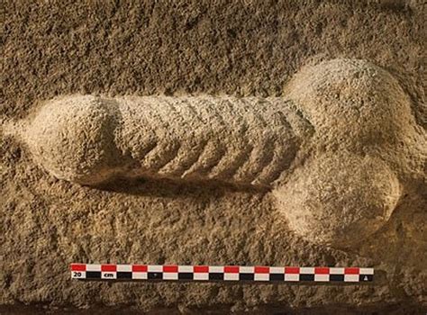Roman Stone Carved Penis Uncovered During Yorkshire Dig The Independent