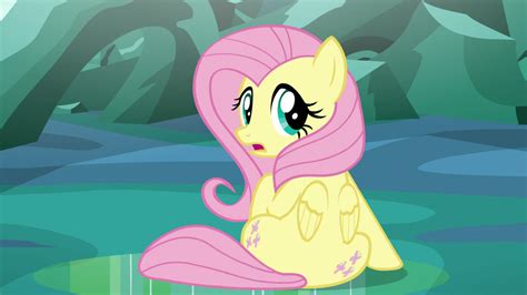Is Fluttershy Friendship Is Magic Equestria Daily