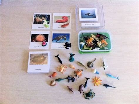 Montessori Sea Life Creatures And Matching 3 Part Cards Set
