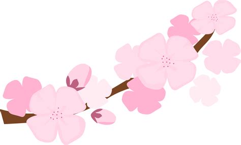 Sakura breaks free and, as she beats him unconscious, warns him to never impersonate sasuke again. sakura blossom clipart 10 free Cliparts | Download images on Clipground 2020