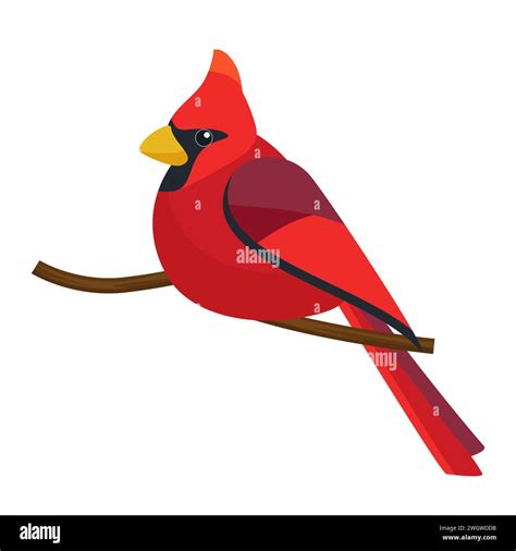 Northern Cardinal Portrait Of Beautiful Red Bird Sitting On Tree