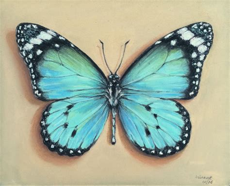Butterfly In Pastel 446